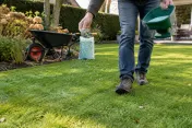 Man strooit korrelig meststof met strooier over groen gazon in zonnige tuin