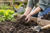 Handen die donkere vruchtbare grond in een verhoogde moestuinbak losmaken, tuingereedschap en gieter zichtbaar
